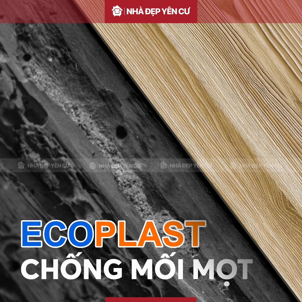 Ecoplast vật liệu chống mối mọt
